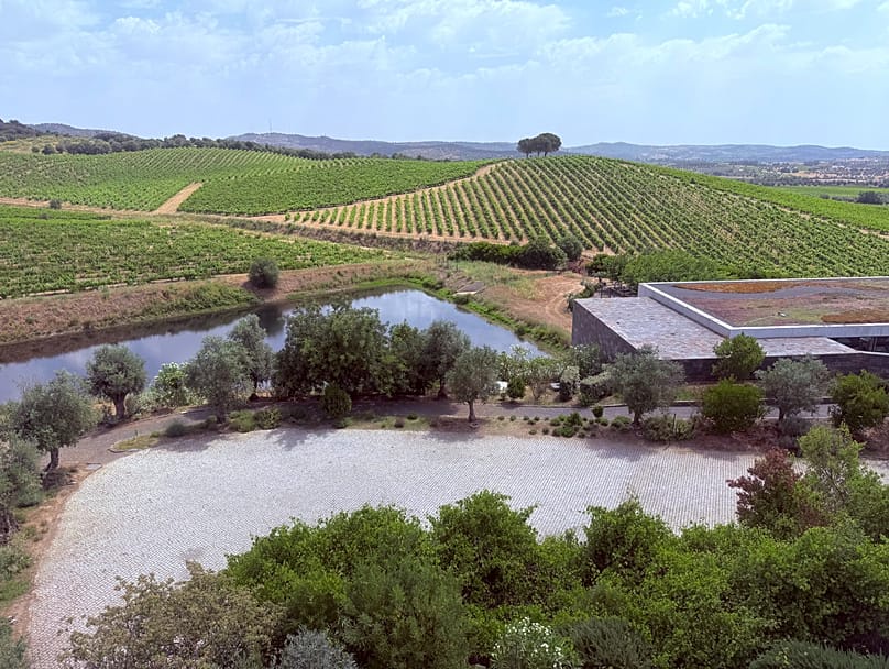 The Alentejo is always one of the regions hardest hit by the heat
