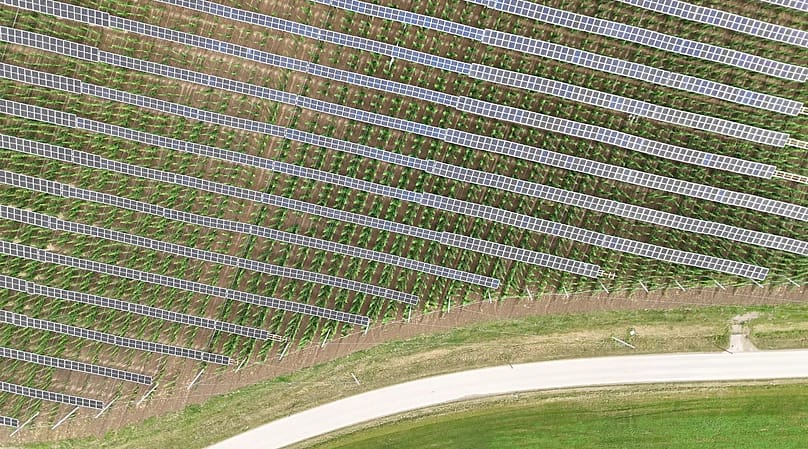 Agri-PV makes it possible to do both at once: grow hops and generate solar power.