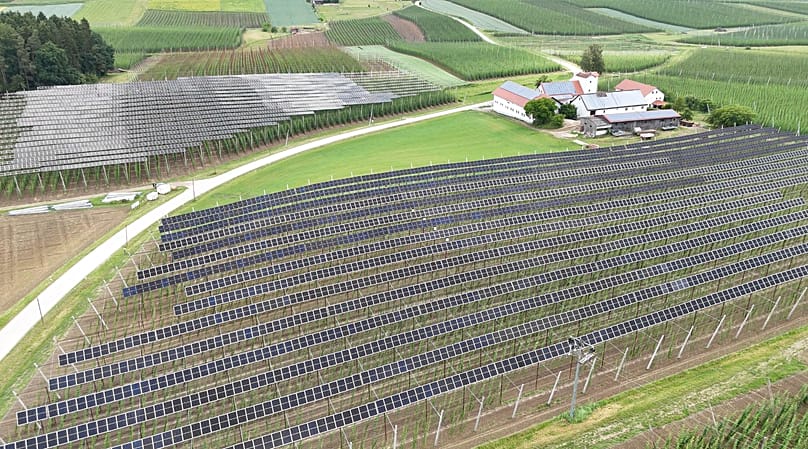 Josef Wimmer’s hop farm is known throughout the region: the state-of-the-art agri-PV installation attracts visitors from all over Bavaria.