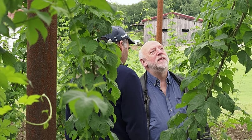 Agri-PV pioneers Bernhard Gruber and Josef Wimmer on a site visit in the hop garden.