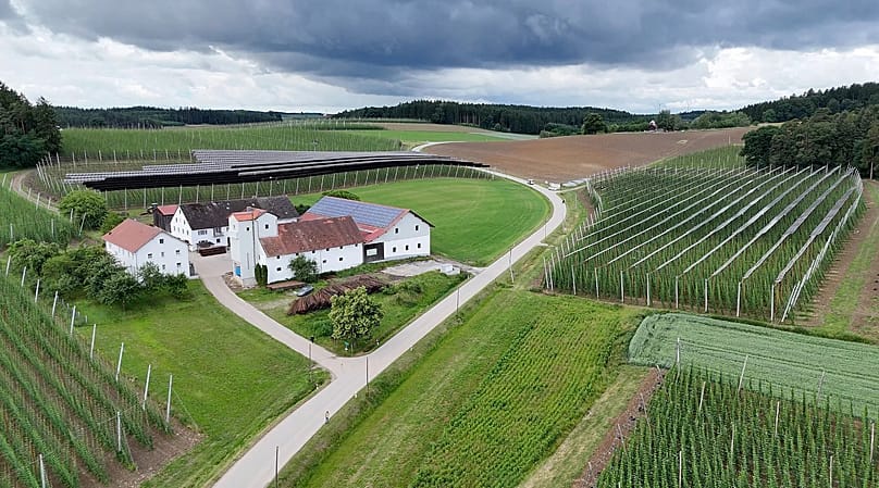 Agri-PV makes hop growing in the Hallertau more resilient to climate change and global warming.