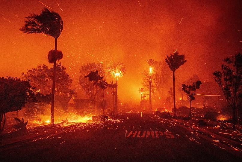In the Path of Fire, 2025 