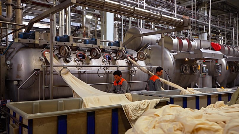 Exporting company in Uzbekistan