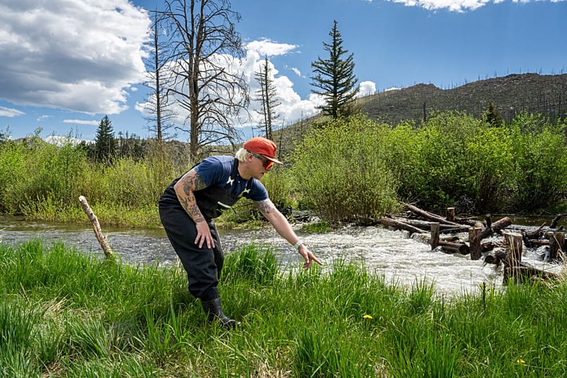 Colorado State University researchers build an artificial beaver dam.