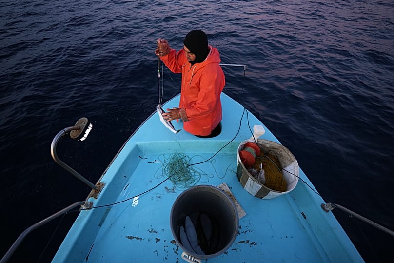 Fisherman Photis Gaitanos catches a toadfish while fishing from his boat off the coast of Larnaca, Cyprus, in the eastern Mediterranean, early Saturday, Dec. 20, 2025. 