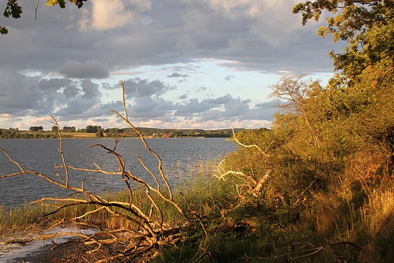Vilm Island nature reserve