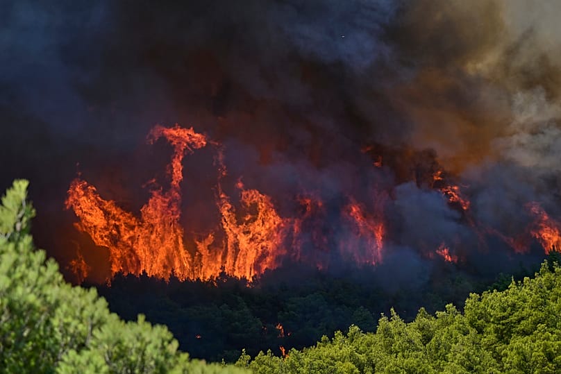 Flames burn through a forest during a wildfire near Porto Germeno, northwest of Athens, Greece, Saturday, 1 August 2026. 