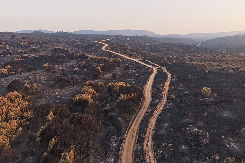 A view of the area scorched by a wildfire in Villa del Prado, Madrid province, Spain, Thursday, 30 July 2026.