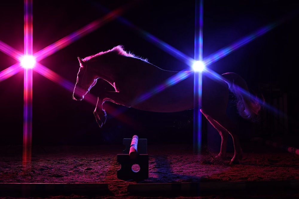 The award for In-Camera Artistry went to Germany's Andrea Zachrau