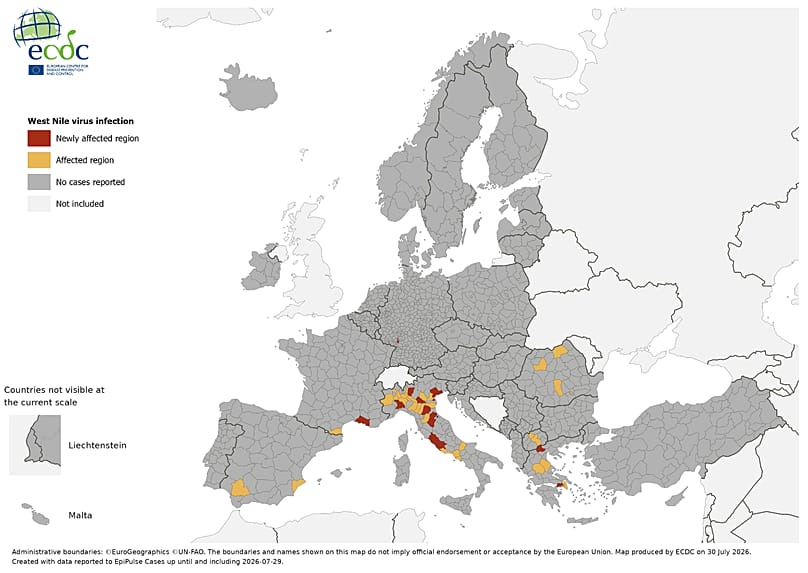 Map of cases in Europe