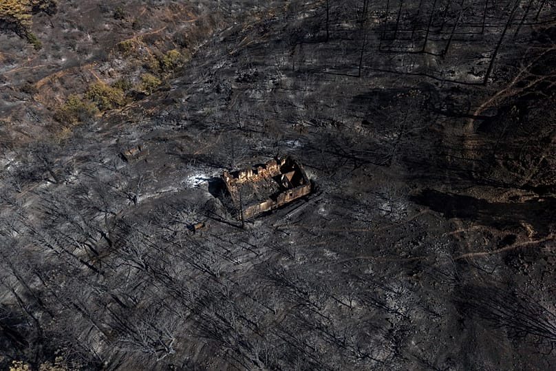 A view of the area scorched by a wildfire in El Tiemblo, 30 July, 2026