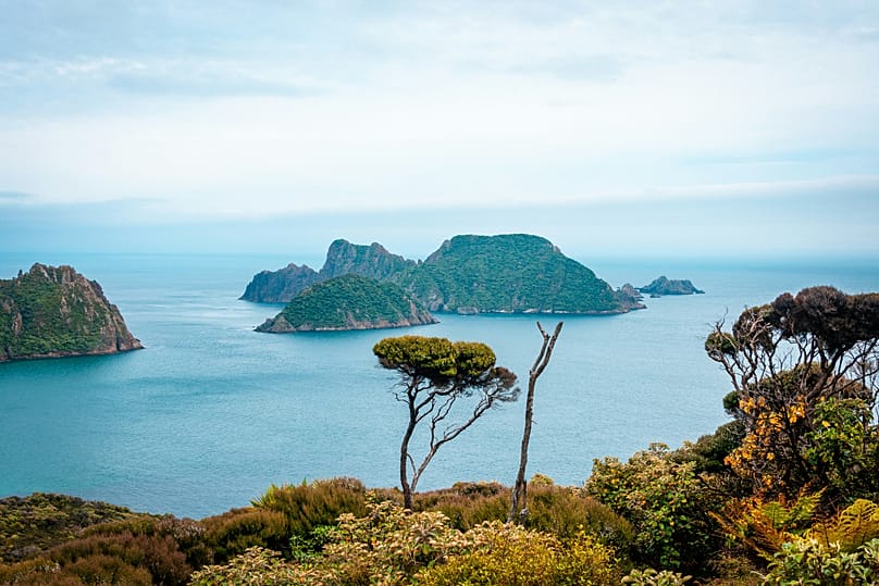 New Zealand's Stewart Island topped the list globally