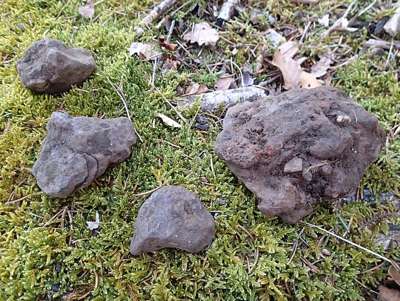 New finds in 2026: decades after the first discovery, fragments of the meteorite are still being recovered.