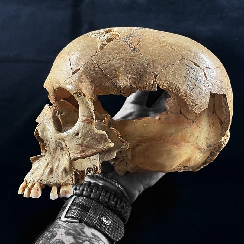 The skull found in a Neolithic cave.
