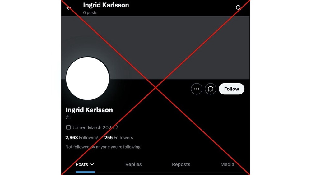 Bot account with a stolen photograph and listed by X as being based in Benin, West Africa. 