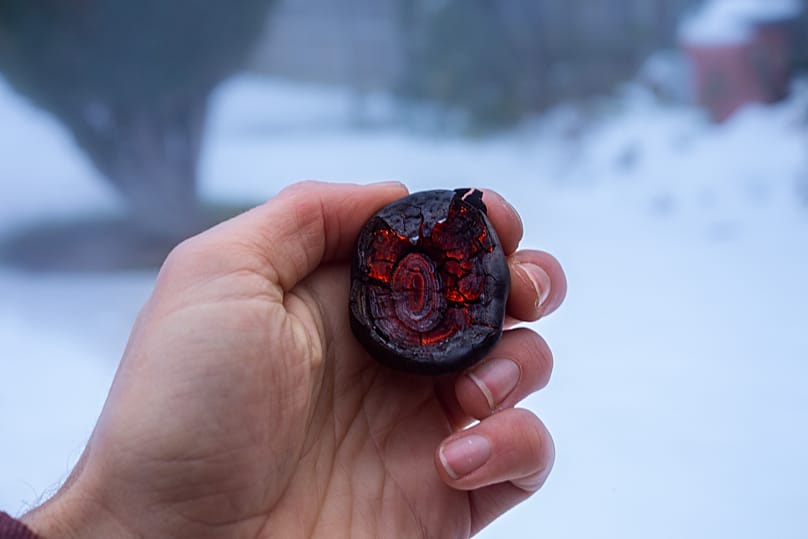 King Alfred’s Cakes or ‘cramp balls’ can be used as a fire lighter.