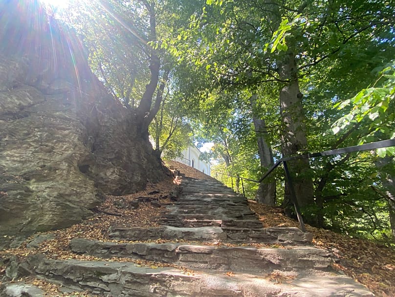 Hiking trail near the Celtic terraces in the forest of Velem, Hungary