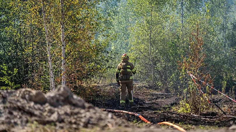 Firefighters were able to extinguish the forest fire, but not the smouldering fire underground.