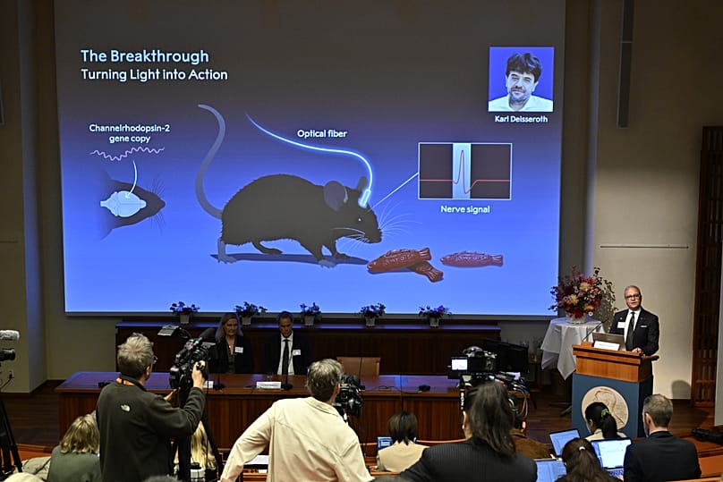 A portrait of Karl Deisseroth is shown on the screen as he, Peter Hegemann and Georg Nagel are awarded the 2026 Nobel Prize in Physiology or Medicine.
