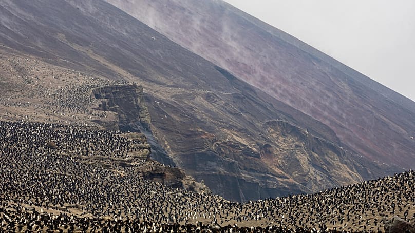 A drone photo captures a colony of penguins on Zavodovski Island.