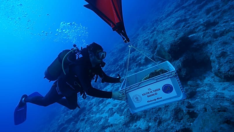 Divers conduct research in the wreck area off Kekova.