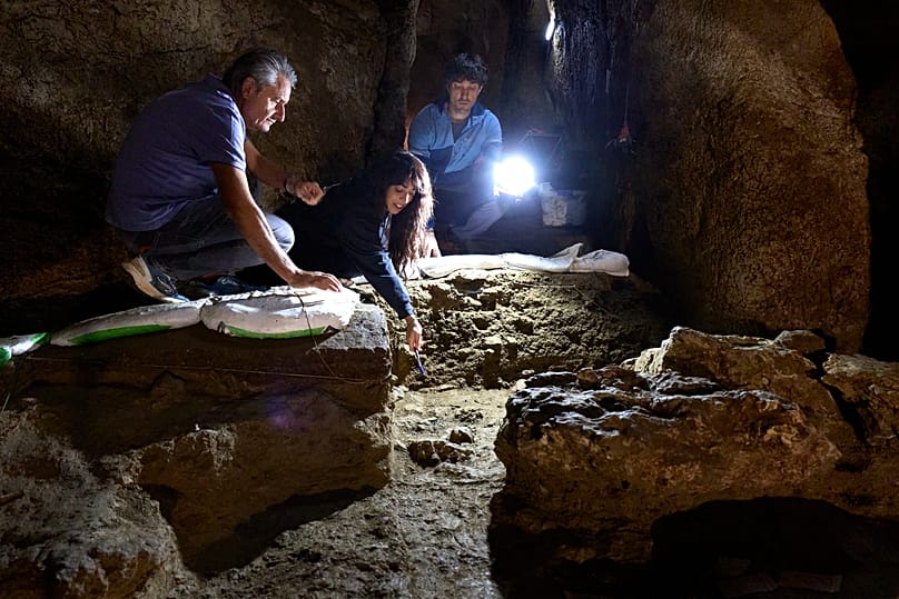 Archaeological excavation in the area where the bones were found