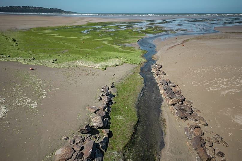 Green algae flows from the Yar river to the sea on the beach of Plage du Yar, Plestin-le-Grèves.