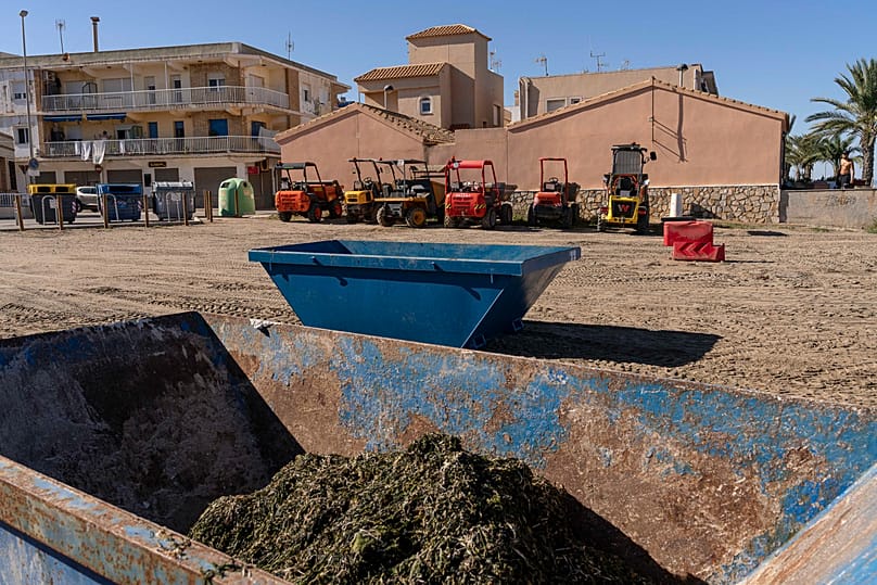 Local authorities collect algae from Mar Menor’s shores.