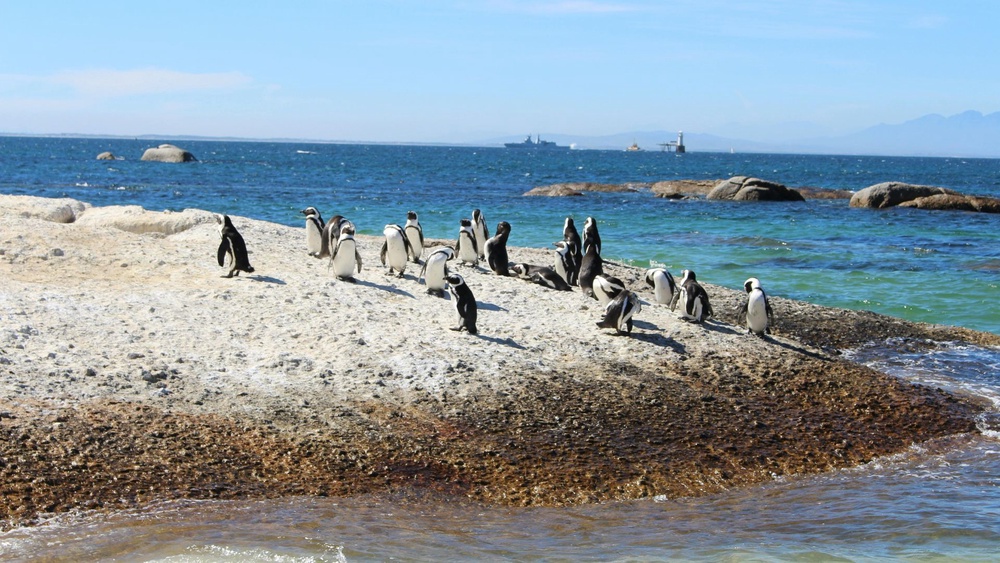 Boulders Beach