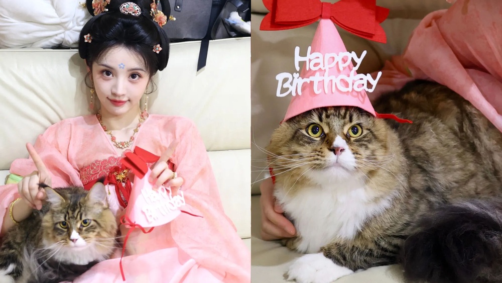 pursuit of jade actress tian xiwei