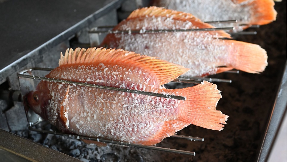 fish