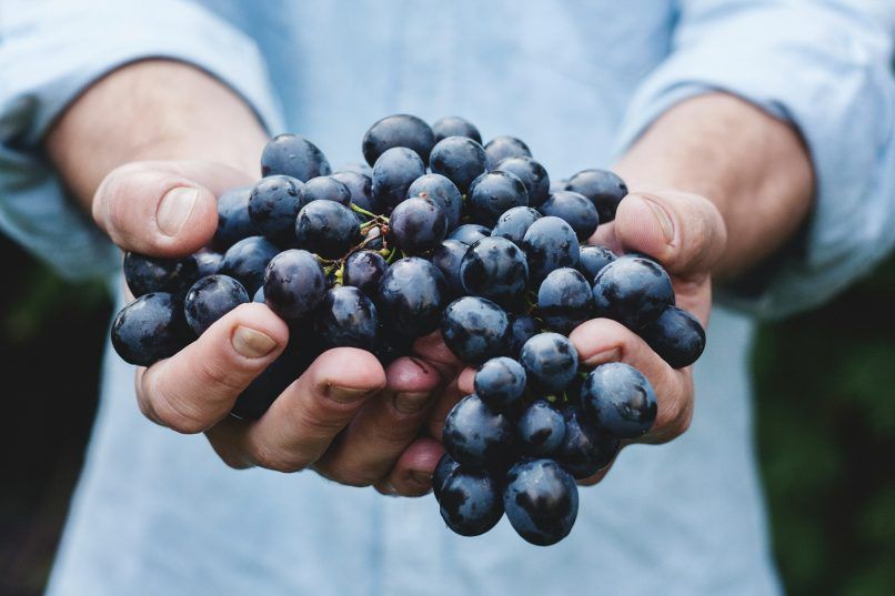Image from: Michelin Grapes: The Michelin Guide launches a new distinction for wine