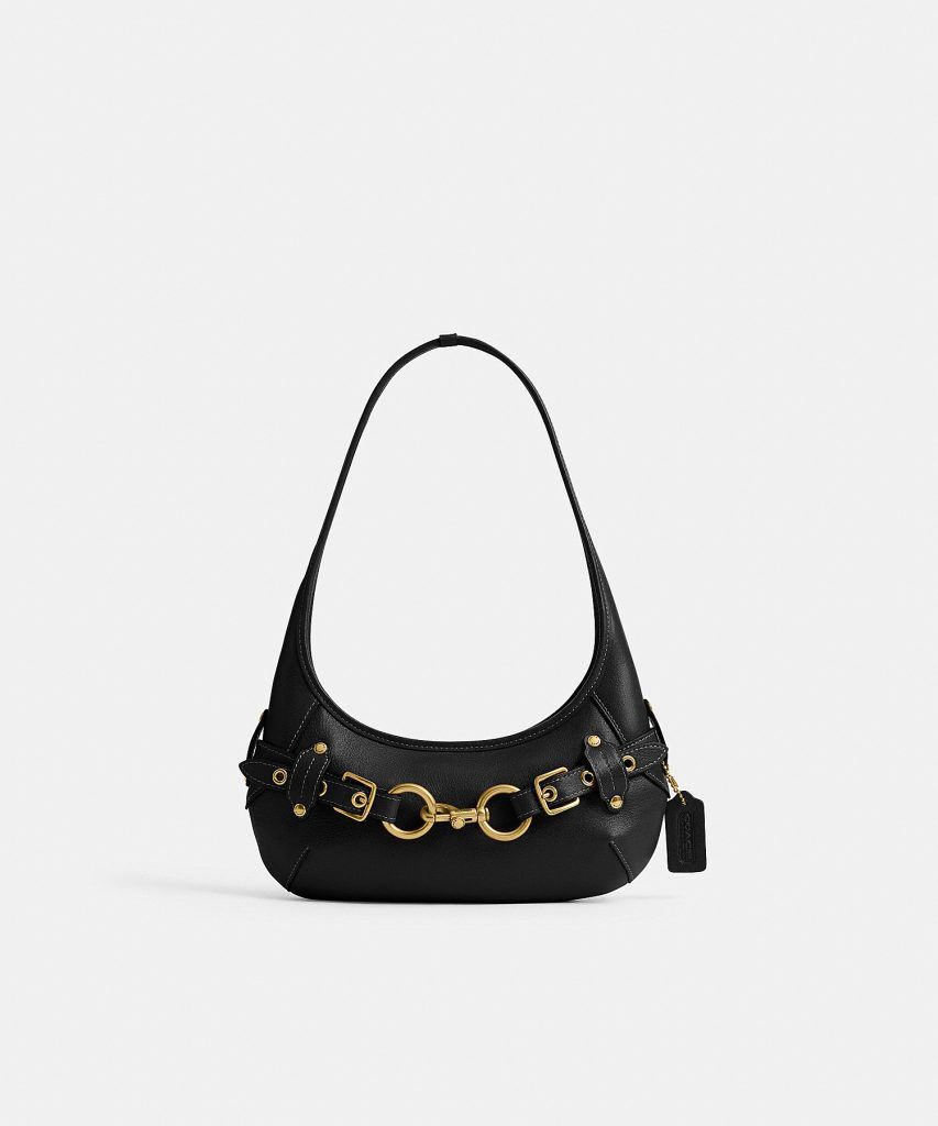 Image from: These Coach bags are perfect companions for your next concerts