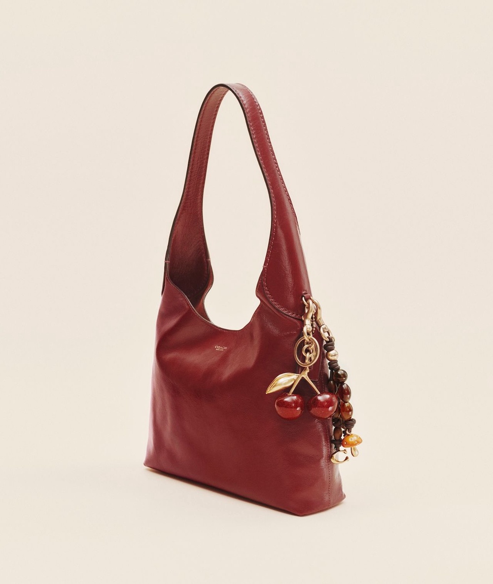 Image from: What Coach bags should you get for someone who already has everything