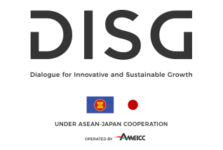 About DISG