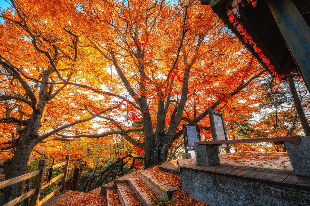 Guangwu Mountain covered in a