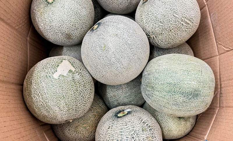 Image from: Frozen Cantaloupe in Your Home Could Be Part of a High-Risk FDA Recall