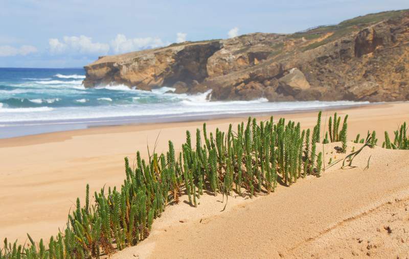 Image from: In Portugal, this beach nestled between cliffs and the Atlantic Ocean has just been voted the best in Europe