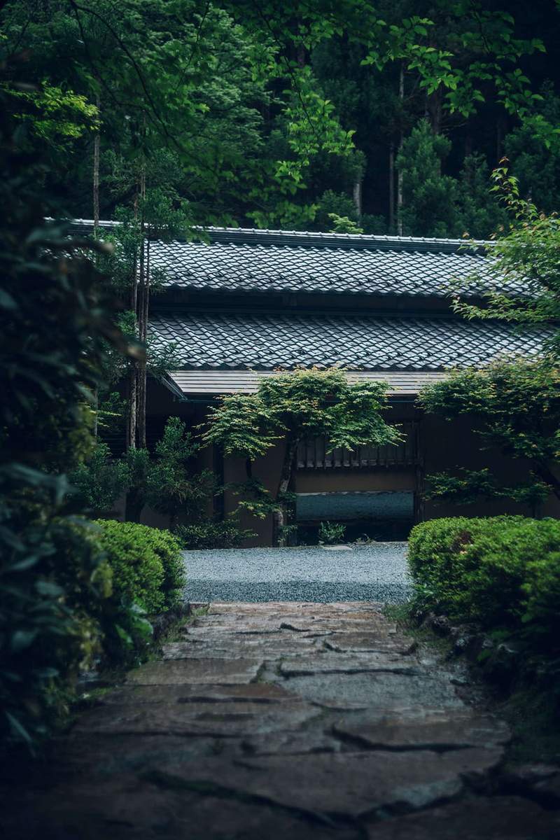 Image from: In Japan, this chef — who’s got 3 Michelin stars — forages his own ingredients in the mountains (it’s a truly extraordinary experience)