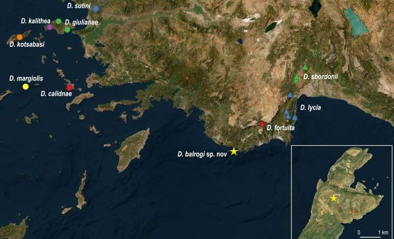 Image from: Scientists Discovered a Bizarre Insect Deep Inside a Greek Cave, and It Was Unlike Anything They Expected