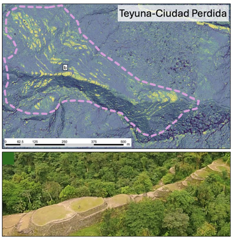 Great mysteries of archaeology: an ancient Amazonian world revealed ...