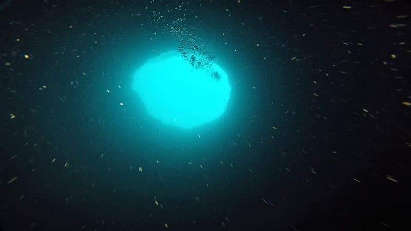 Image from: Divers Entered One of the Ocean’s Mysterious Blue Holes and Discovered Something Unexpected Deep Below the Surface