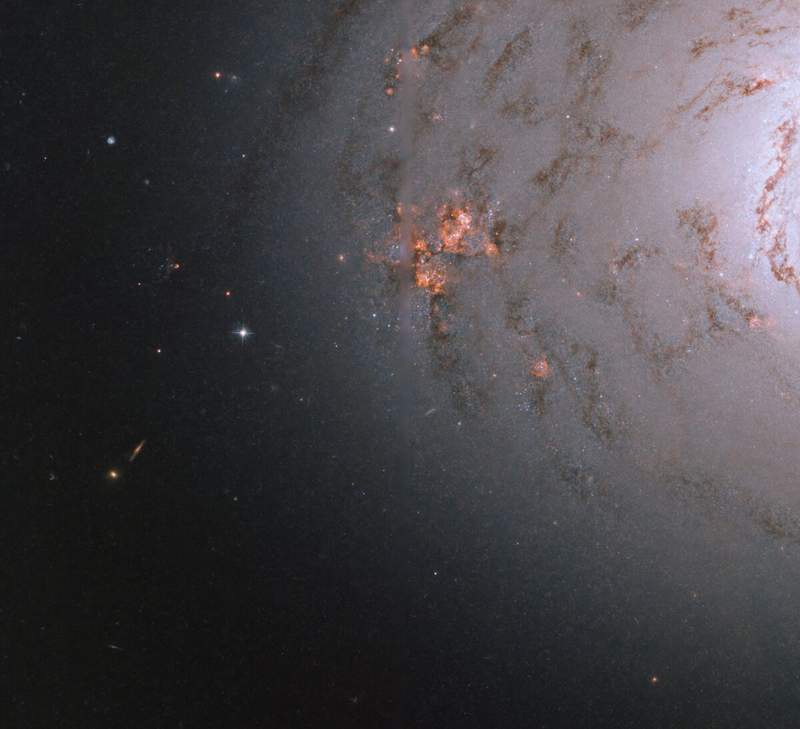 Image from: An Amateur Astronomer Built a Backyard Observatory for Two Years, Now It’s Revealing Stunning Galaxy Images From Deep Space
