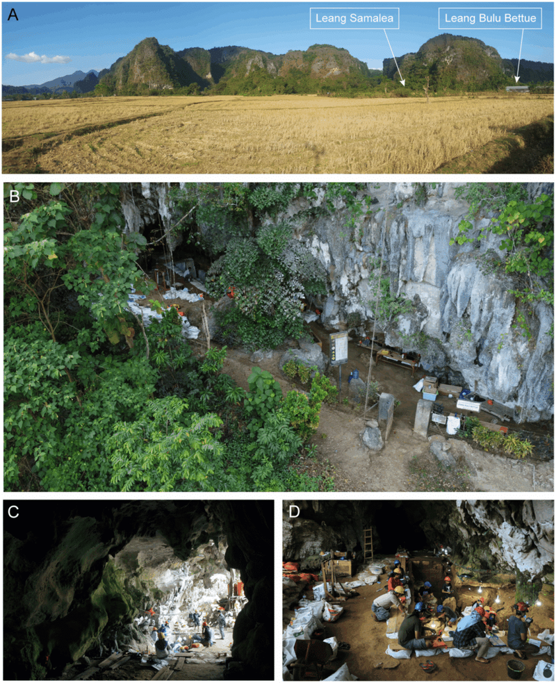 Image from: Scientists Discover Ancient Human-Like Species That Lived and Hunted in a Cave 200,000 Years Before Us