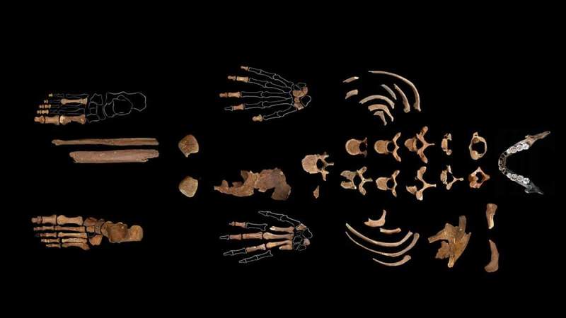 Image from: Archaeologists Spent 30 Years Excavating This Hidden Cave in Spain, Here’s What They Found Inside