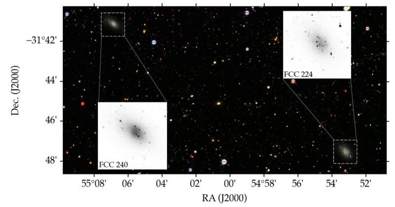 Image from: Scientists Spot Rare Dark Matter-Free Galaxy Twins In Fornax Cluster