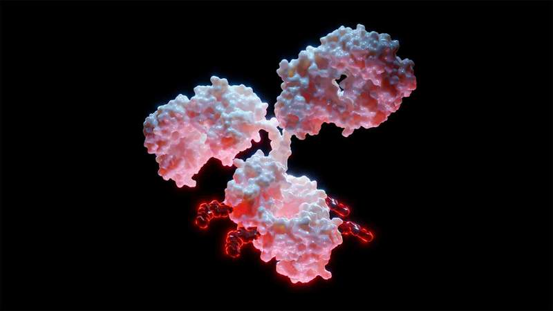 Image from: Ovarian cancer drug approved for NHS use will prolong lives