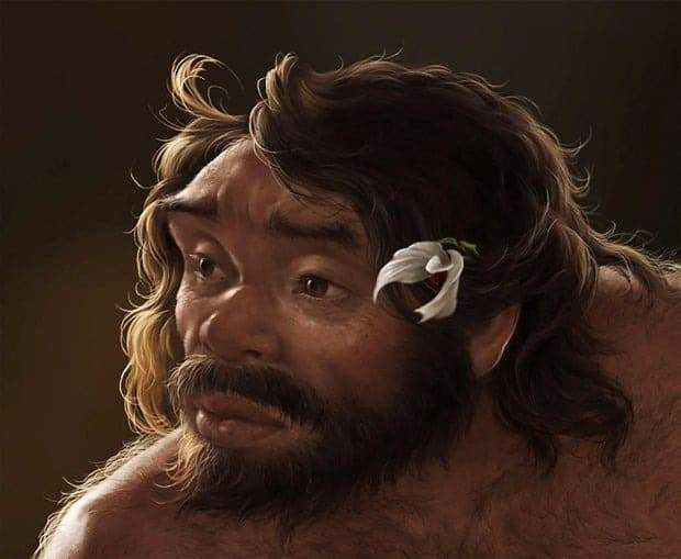 Image from: A Crushed 1-Million-Year-Old Skull Found in China Could Prove Humans Split Into Distinct Groups Far Earlier Than Expected