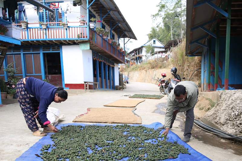 Image from: Rudraksha farming in Nepal: Prosperity meets peril as farmers chase Chinese market demand