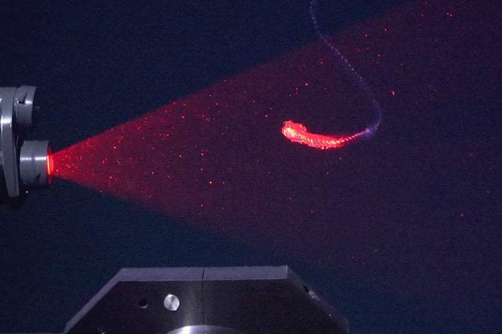 Image from: Divers Explored Earth’s Most Mysterious Ocean Habitat and Found 31 New Species Few Humans Have Ever Seen